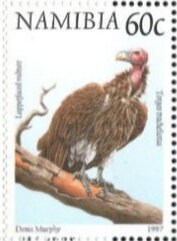 Stamp, Lappet-faced Vulture (Aegypius tracheliotus), Namibia,  , Animals (Fauna), Birds, Vultures