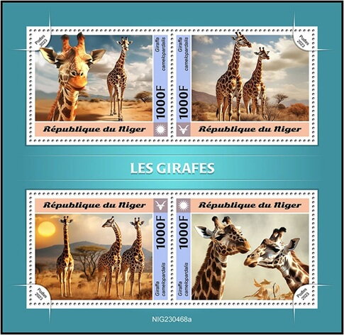Giraffes