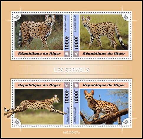 Servals