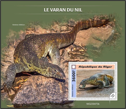Varanus niloticus