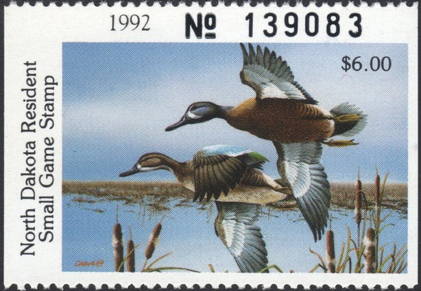 Blue-winged teal (Anas discors)