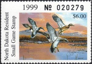Stamp, Gadwall (Anas strepera), North Dakota (ND),  , Animals (Fauna), Birds, Ducks, Hunting