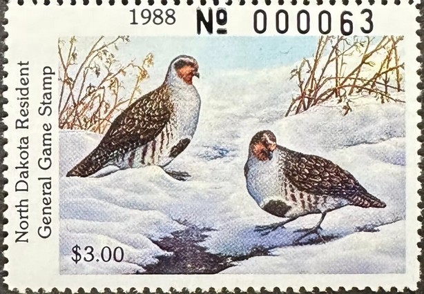Grey partridge (Perdix perdix)