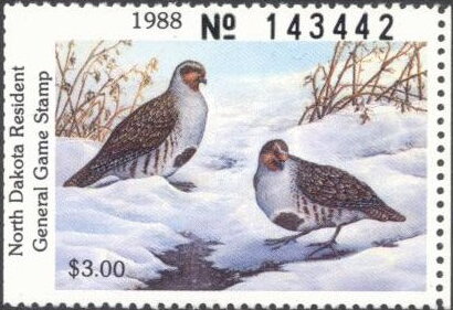 Grey partridge (Perdix perdix)
