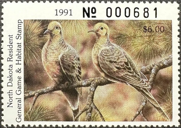 Mourning dove (Zenaida macroura)