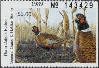 Pheasant