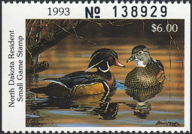 Wood duck (Aix sponsa)