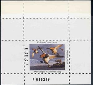 Booklet Pane, Canvasback (Aythya valisineria), Oregon (OR),  , Animals (Fauna), Birds, Ducks, Hunting