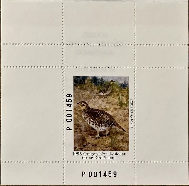 Columbian sharp-tailed grouse (Tympanuchus phasianellus)