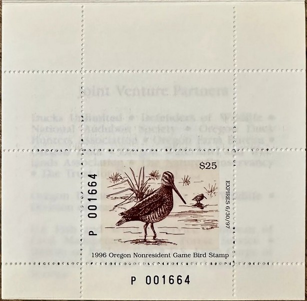 Common snipe (Gallinago gallinago)