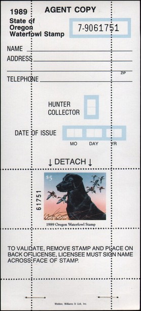 Labrador Retriever (Canis lupus familiaris)