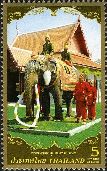 (White) Asian Elephant (Elephas maximus)