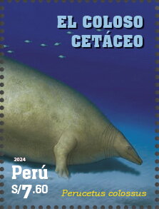 Perucetus colossus