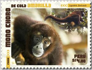Stamp, Yellow-Tailed Woolly Monkey (Lagothrix flavicauda), Peru,  , Monkeys