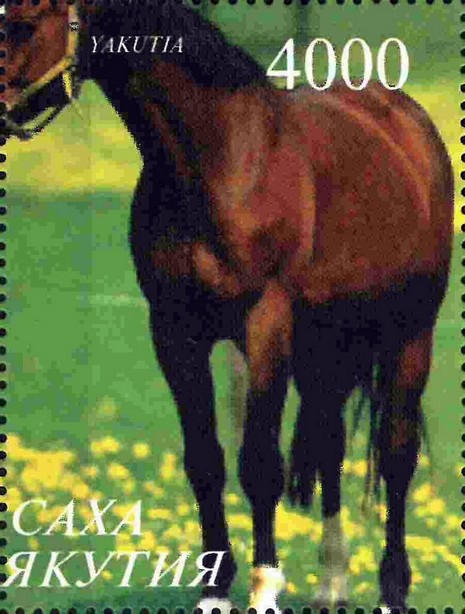 Horses