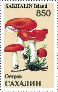 Stamp, Mushrooms, Russia, Sakhalin,  , Mushrooms