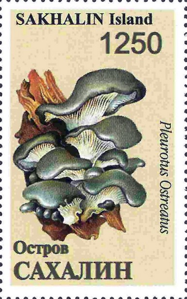 Mushrooms
