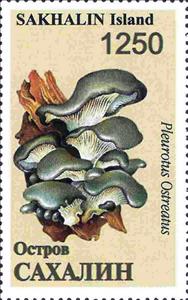Stamp, Mushrooms, Russia, Sakhalin,  , Mushrooms