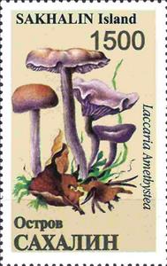 Stamp, Mushrooms, Russia, Sakhalin,  , Mushrooms