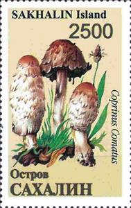 Stamp, Mushrooms, Russia, Sakhalin,  , Mushrooms