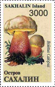 Stamp, Mushrooms, Russia, Sakhalin,  , Mushrooms