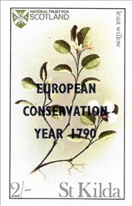 Stamp, Least Willow, Scotland, St. Kilda,  , Plants (Flora)