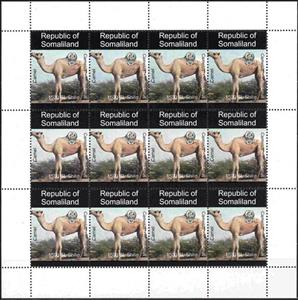 Mini Sheet, Animals of Africa Camel, Somaliland,  , Animals (Fauna), Camels