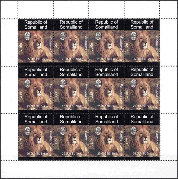 Animals of Africa Lion