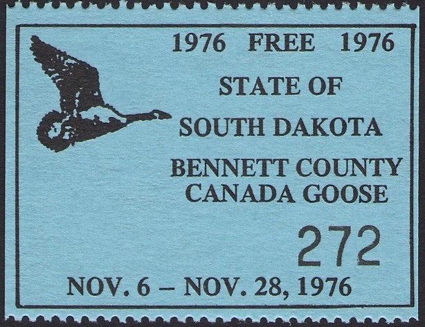 Canada goose (Branta canadensis)