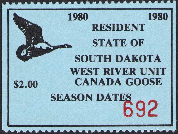 Canada goose (Branta canadensis)