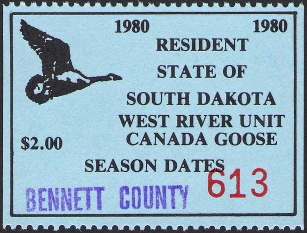 Canada goose (Branta canadensis)