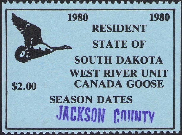 Canada goose (Branta canadensis)