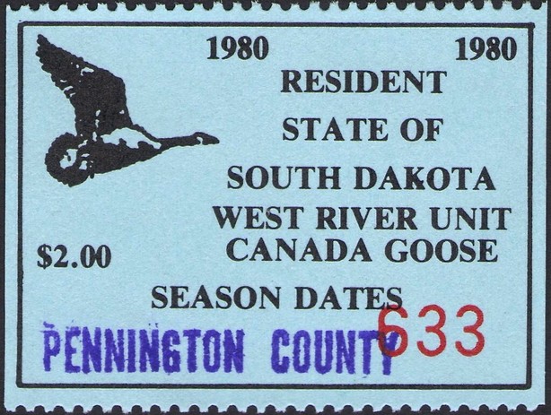 Canada goose (Branta canadensis)