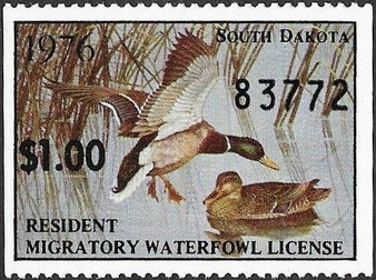 Mallard (Anas platyrhynchos)