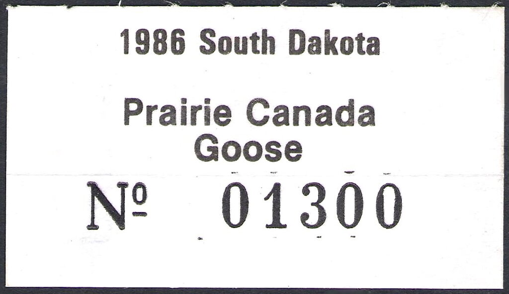Prairie Canada Goose