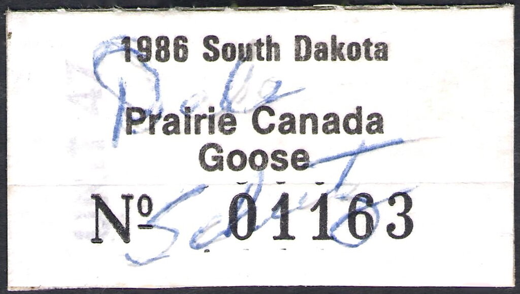 Prairie Canada Goose