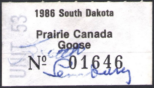 Prairie Canada Goose
