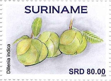 Dillenia indica