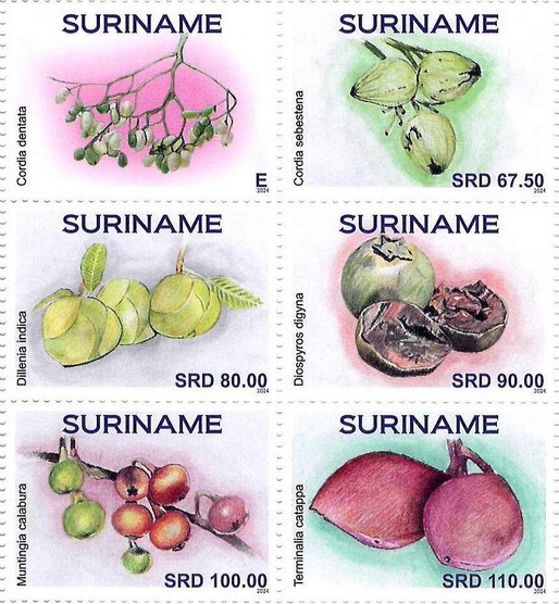 Tropical Fruits