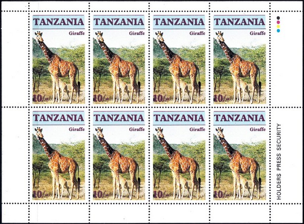 Giraffe (Giraffa camelopardalis)