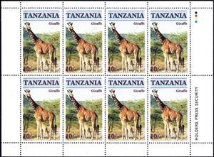 Mini Sheet, Giraffe (Giraffa camelopardalis), Tanzania,  , Animals (Fauna), Giraffes, Mammals