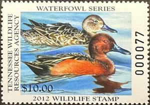 Stamp, Cinnamon teal (Spatula cyanoptera), Tennessee (TN),  , Animals (Fauna), Birds, Ducks, Hunting