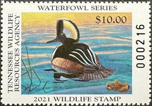 Stamp, Hooded merganser (Lophodytes cucullatus), Tennessee (TN),  , Animals (Fauna), Birds, Ducks, Hunting