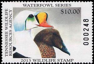 Stamp, King eider (Somateria spectabilis), Tennessee (TN),  , Animals (Fauna), Birds, Ducks, Hunting