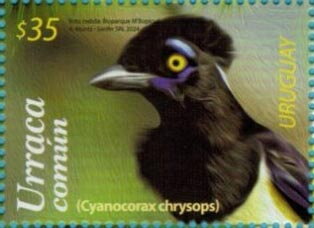 Stamp, Plush-Crested jay (Cyanocorax chrysops), Uruguay,  , Animals (Fauna), Birds, Parks