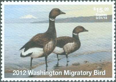 Brant