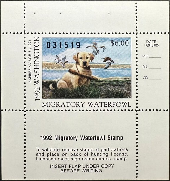 Canada goose (Branta canadensis), Labrador retriever