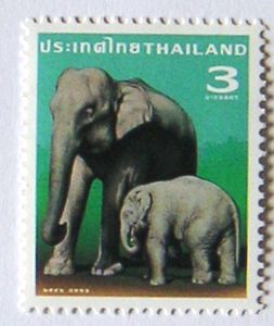 Elephant Definitive Issue