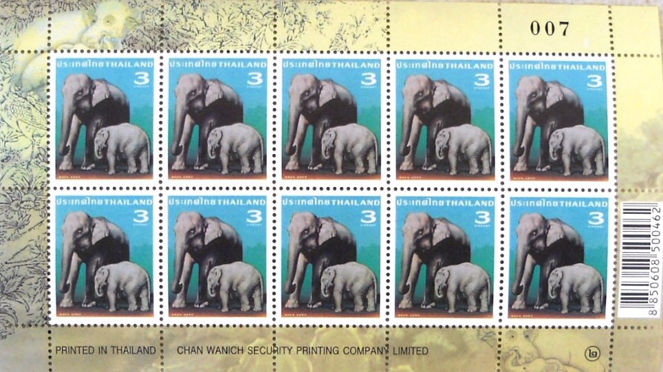 Asian Elephant (Elephas maximus)