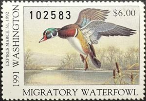 Stamp, Wood duck (Aix sponsa), Washington (WA),  , Animals (Fauna), Birds, Ducks, Hunting